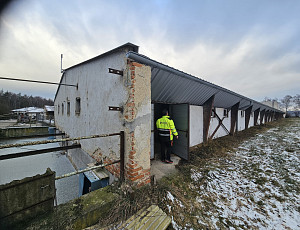 Bourací práce na hale chovu prasnic